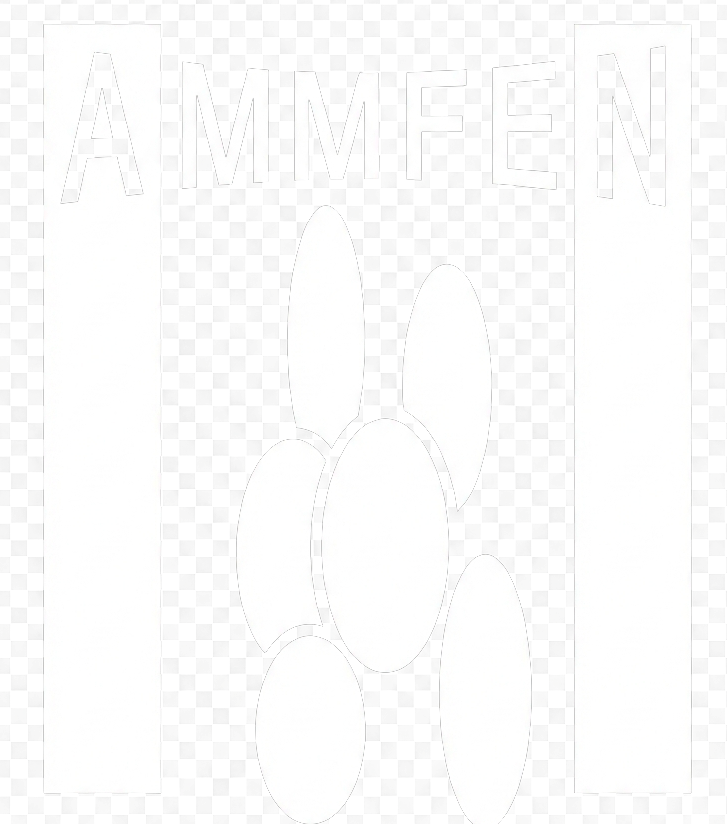 AMMFEN